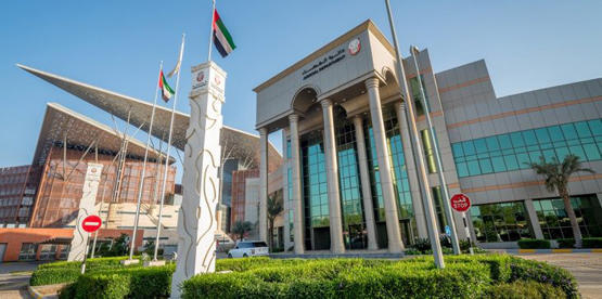 زوج يكتب ممتلكاته باسم زوجته ..  وورثتها يستولون عليها بالإمارات