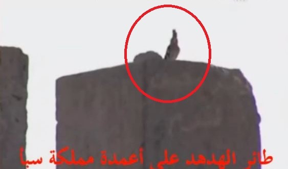 قصة ملكة سبأ !!  ..  الملكة بلقيس التي كانت على ملك عظيم