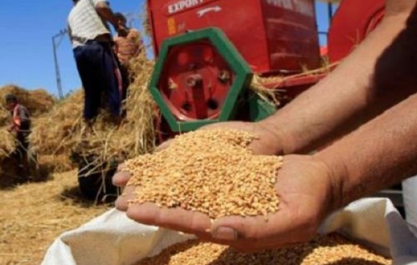 فلسطين وروسيا توقعان اتفاقية توريد القمح إلى فلسطين