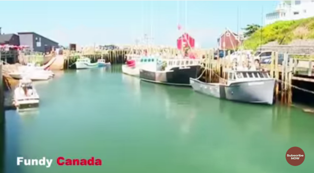 شاهد المد والجزر في خليج فندى، كندا
