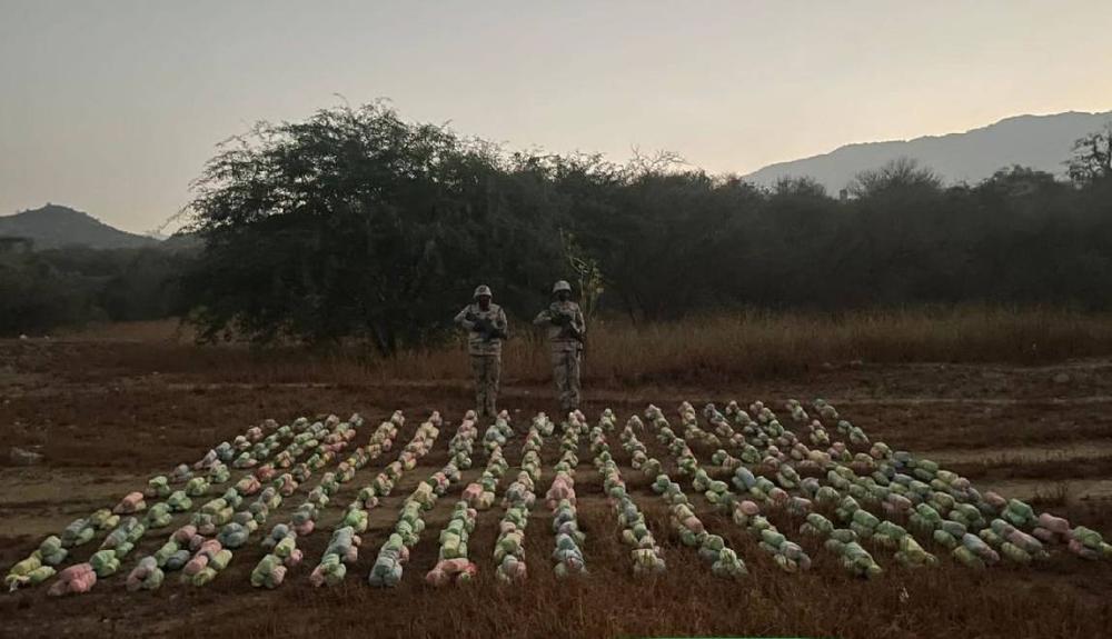 السعودية تحبط تهريب 320 كيلوغراماً من نبات القات