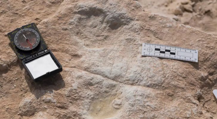 علماء يكتشفون آثار أقدام تعود إلى 120 ألف عام في السعودية