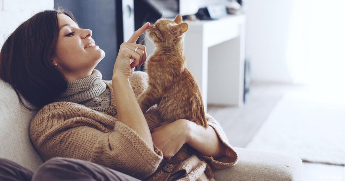 هل تربية القطط تسبب عقم للمرأة؟