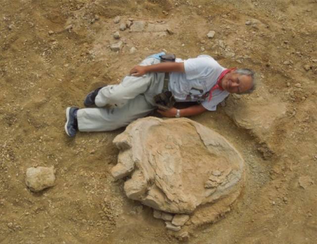 العثور على أثر ضخم لقدم ديناصور في منغوليا