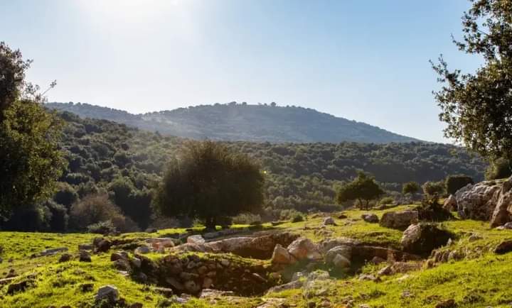 طقس حار نسبي في أغلب مناطق المملكة  ..  وحار في البادية والأغوار والبحر الميت والعقبة