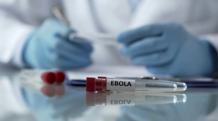 الصحة العالمية: الاشتباه بأكثر من 900 حالة إيبولا في الكونغو