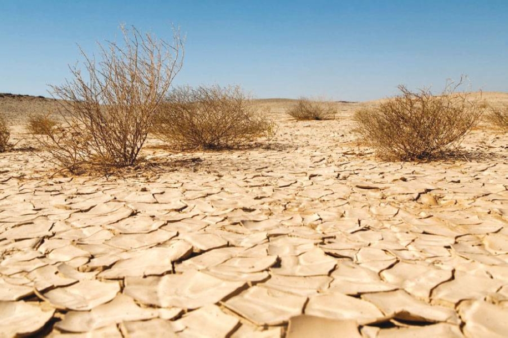 تقرير بيئي: الأردن مهدد بزيادة نسب التصحر
