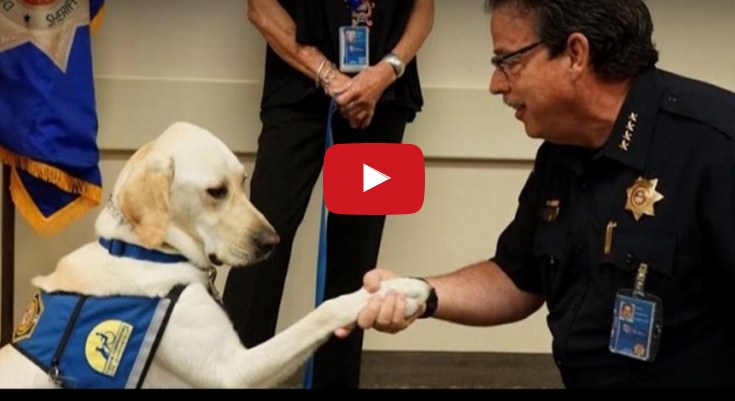 بالفيديو ..  كلب "بوليسي" أميركي يؤدي اليمين الدستورية للشرطة
