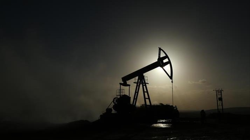 العراق يتوقع تحسن سعر النفط نحو 50 دولارا في 2021