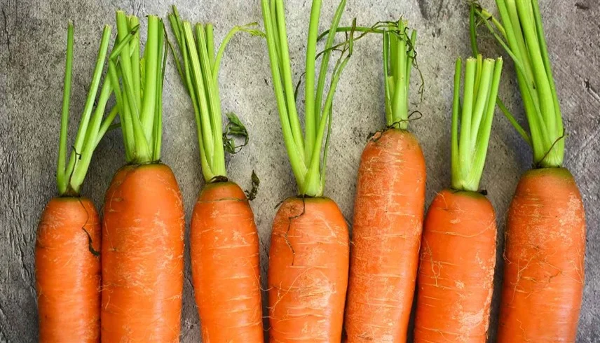 خبراء يجيبون: هل يحسن فيتامين أ النظر؟