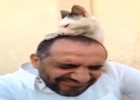 فيديو ''وفاء قطة'' يجذب اكثر من مليون ونصف مشاهد