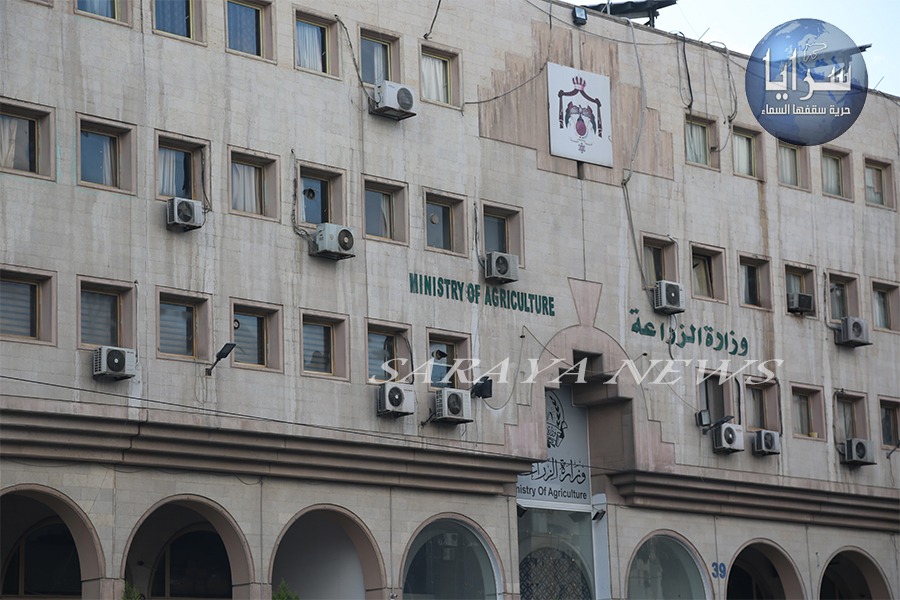 الزراعة تحيل ملف تلاعب بكفالات مالية للنائب العام