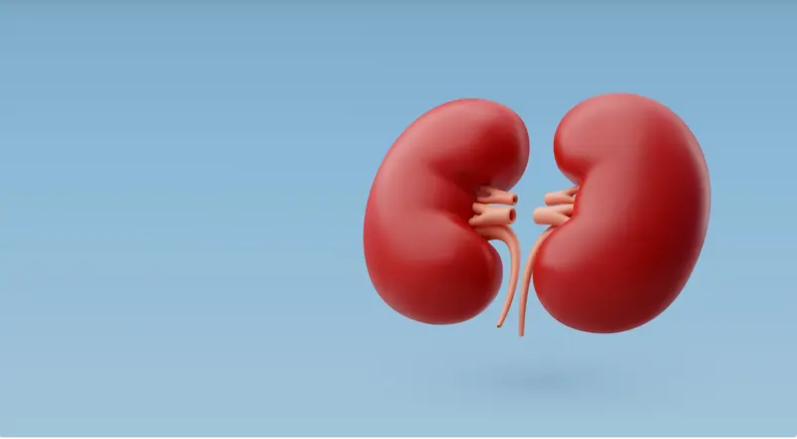 دراسة حديثة ..  تحليل دم جديد يتنبأ بدقة أكبر بتطور أمراض الكلى