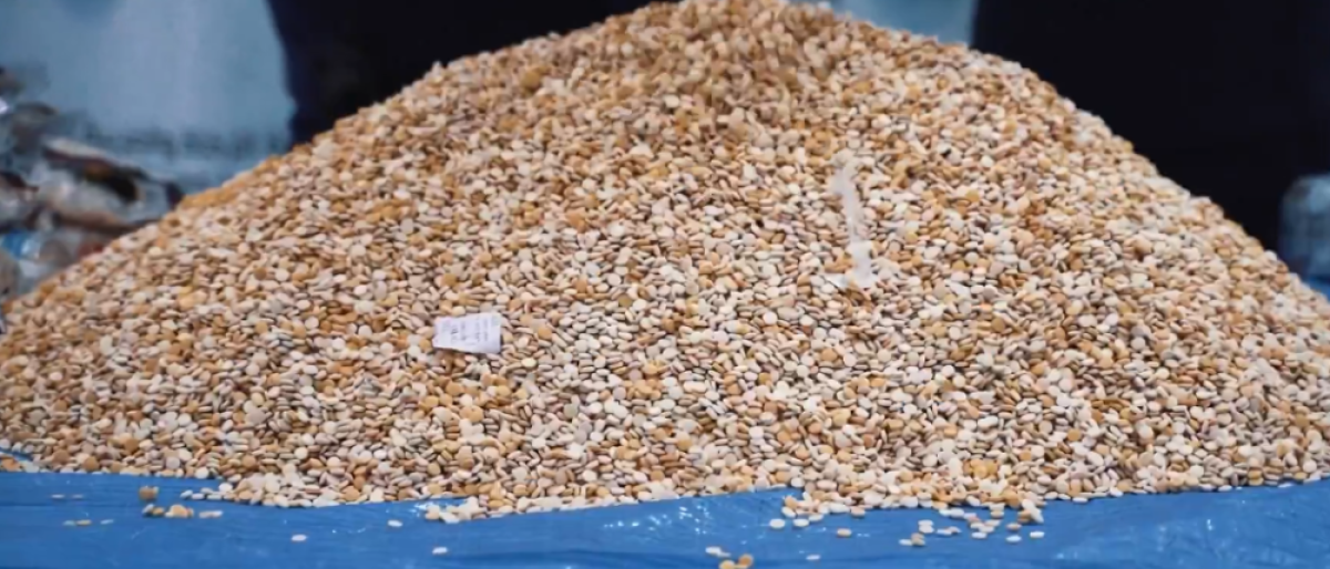 إحباط تهريب 4.7 ملايين حبة إمفيتامين مخدرة في ميناء جدة