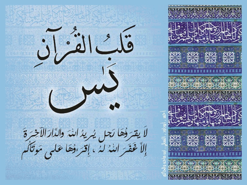 "يس" ..  قلب القرآن (فيديو)