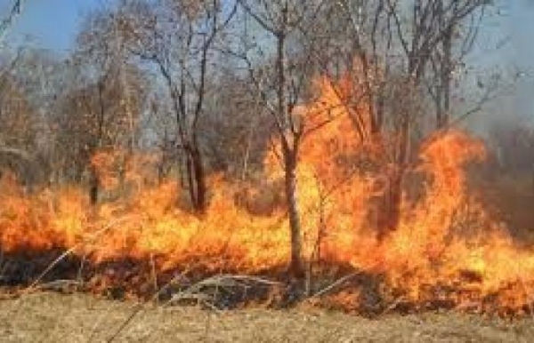 إخماد حريق أعشاب جافة في محافظة اربد
