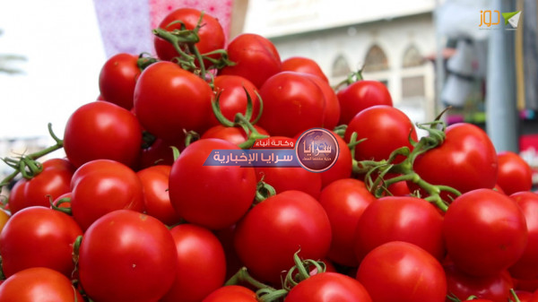 ما هي فوائد الطماطم ومن الأشخاص الممنوعين من تناولها؟