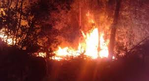 حريق يطال ٥٠ دونما من الأعشاب الجافة في اربد