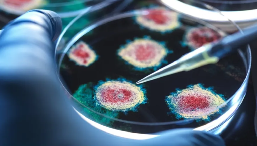 دراسة مقلقة ..  فيروسات مهملة قد تهدد الصحة العالمية