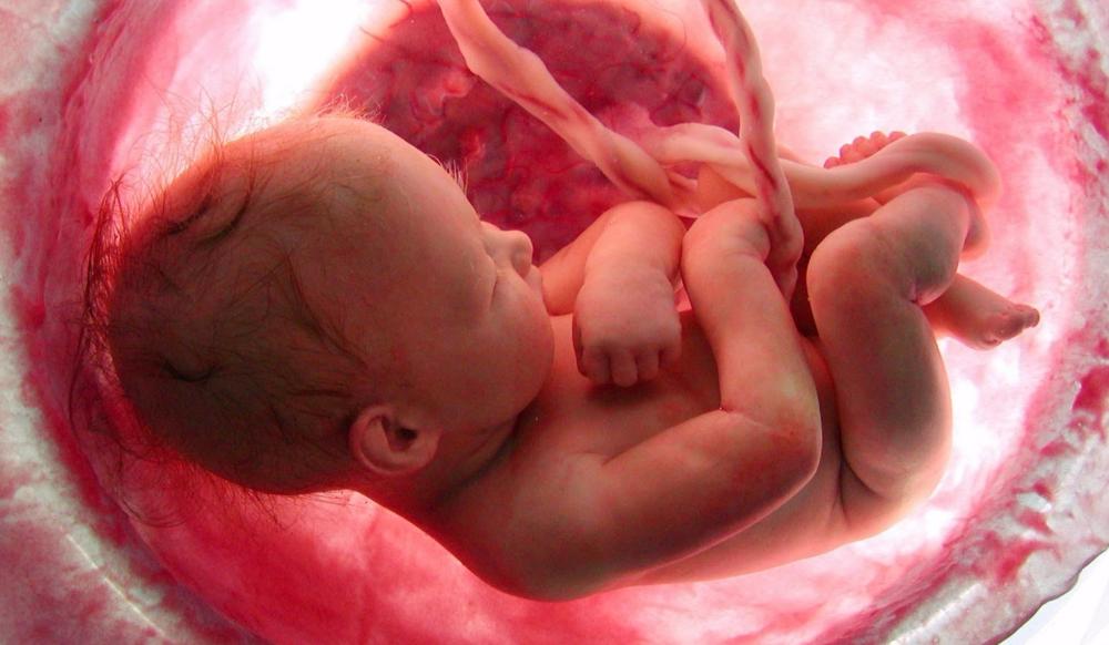 معرفة جنس الجنين: 5 مؤشرات علمية للحمل بصبي