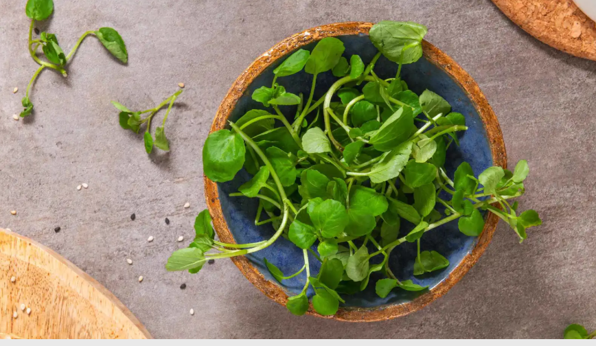 لماذا يُعد الجرجير أكثر الخضراوات "صحة في العالم"؟