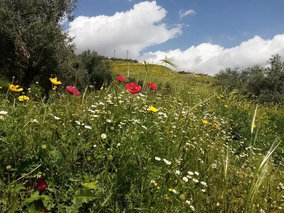 انخفاض اخر على درجات الحرارة اليوم