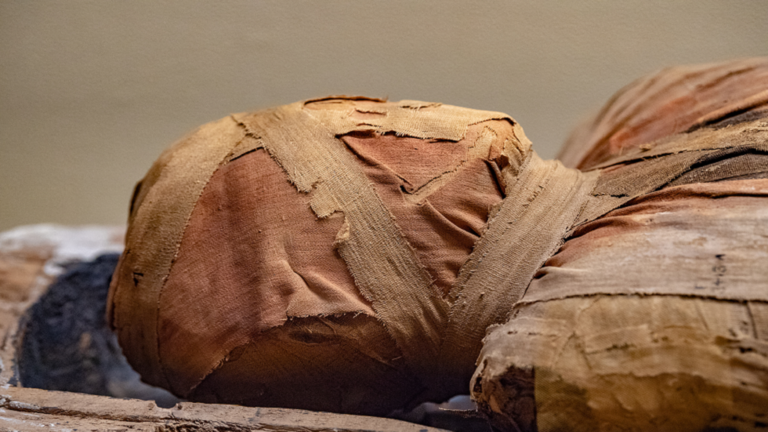 اكتشاف مفاجئ ومدهش داخل نعش مومياء مصرية عمرها 3 آلاف عام!
