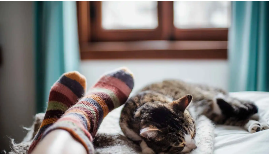 ارتداء الجوارب ..  هل يحسن جودة النوم شتاءً؟  