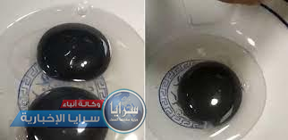 بالفيديو  ..  إوزة تضع بيضاً بصفار أسود اللون يُحير العلماء 