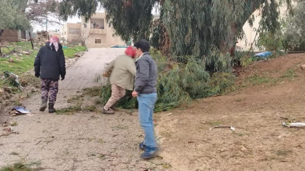 زراعة الكرك تتعامل مع حالات سقوط أشجار حرجية نتيجة شدة الرياح