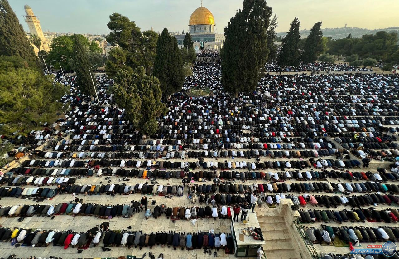 image.php?token=fd85d37066125d7a9d5e277c641d29ff&size=xxlarge