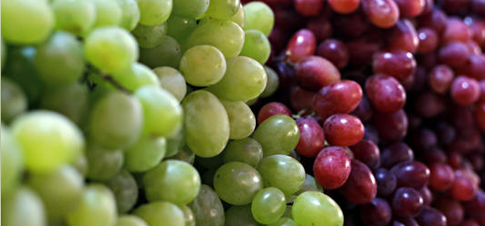 هل العنب مسموح لمرضى السكري؟