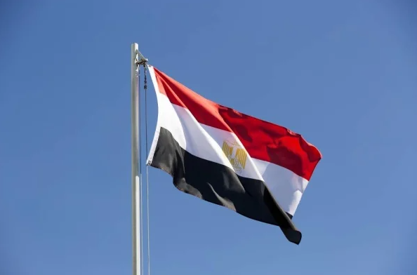 مصر تعلن عزمها دعم دعوى جنوب أفريقيا ضد (إسرائيل) في "العدل الدولية"