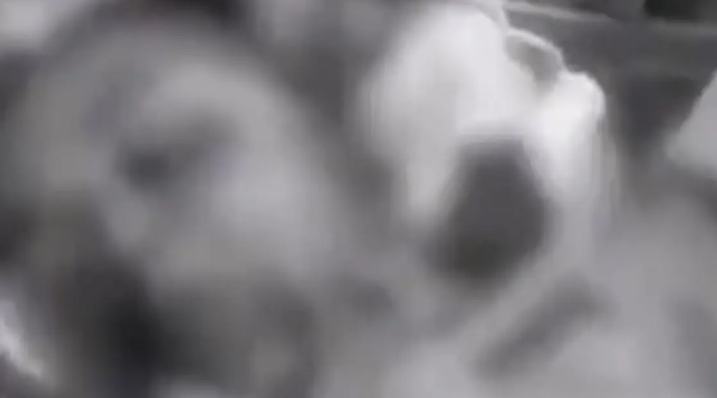 خنقها وهشم جمجمتها ..  عراقي يقتل طفلته لظهورها في "تيك توك" بالخطأ - فيديو 