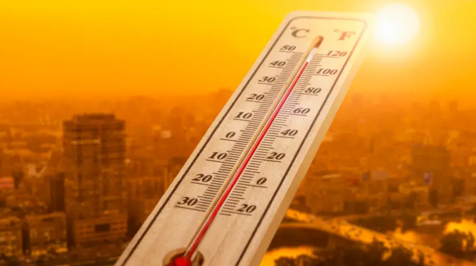 العلم يشرح سبب الغضب والعدوانية خلال موجات الحر