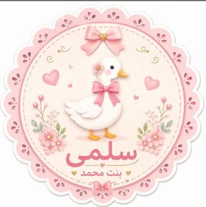 سلمى محمد الحوامدة ..  مولودة جديدة ترى النور