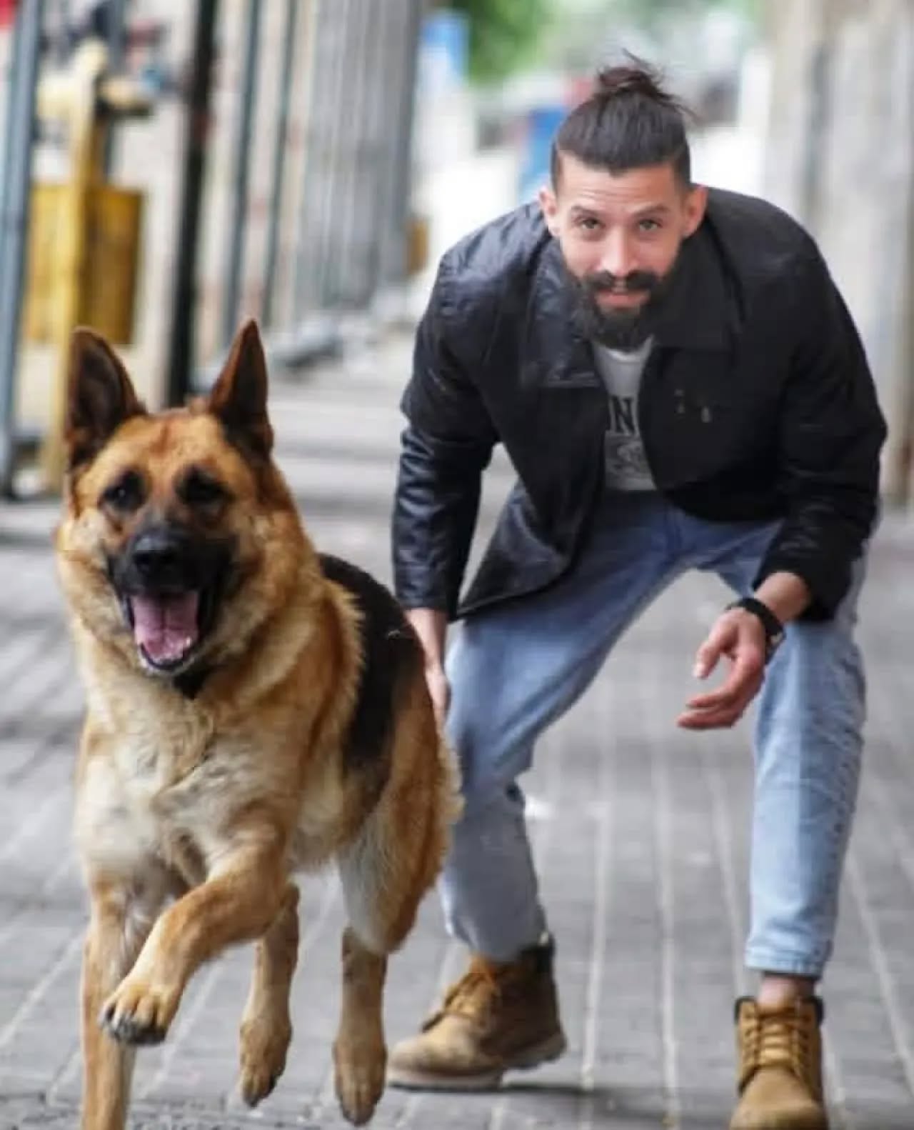 رحيل لوسي ..  الكلبة التي سرقت قلوب آلاف المتابعين من الخليل